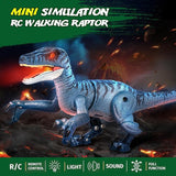 Remote Control Dinosaur Toy Simulated Indominus Dragon