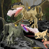 Remote Control Spray Simulation Dinosaur Toy
