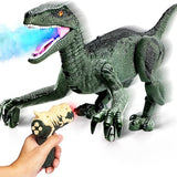 Remote Control Spray Simulation Dinosaur Toy