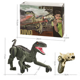 Remote Control Spray Simulation Dinosaur Toy