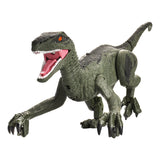 Remote Control Spray Simulation Dinosaur Toy